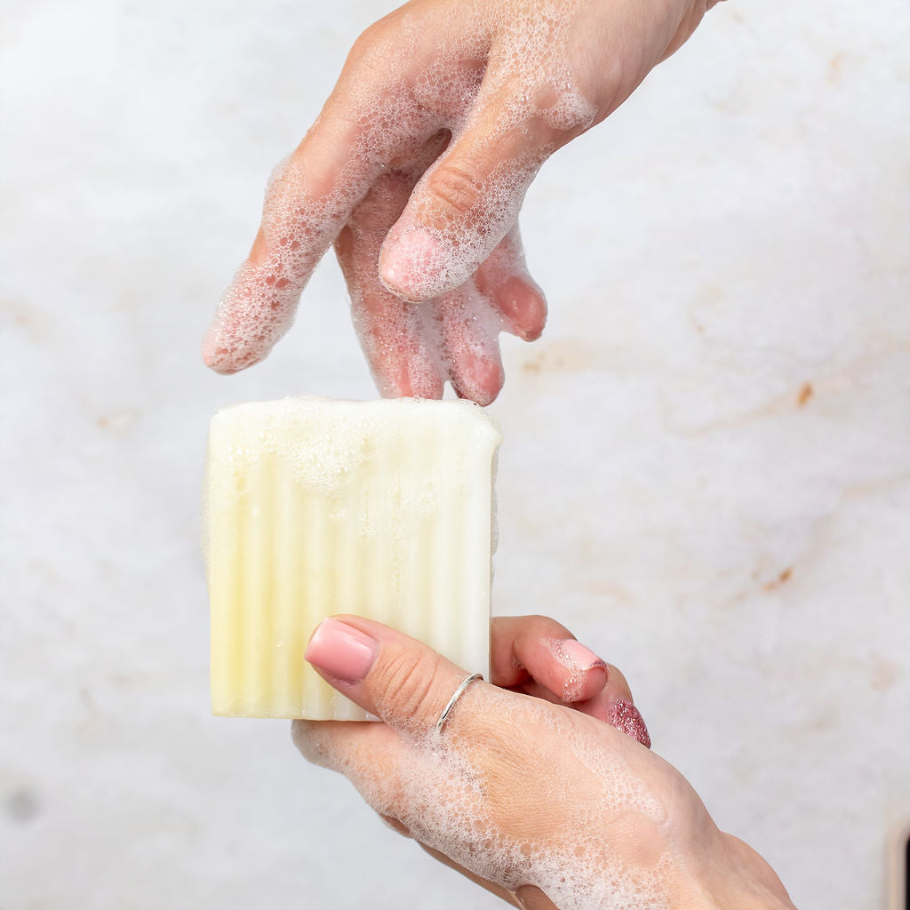 Shampoo Shave Shower Bar: Black Spruce, Bergamot
