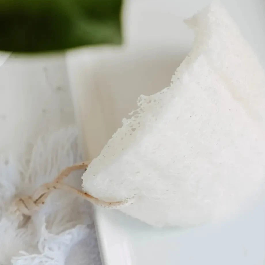 Loofah Sponge