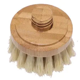 Replacement Head for Bamboo Dish Brush